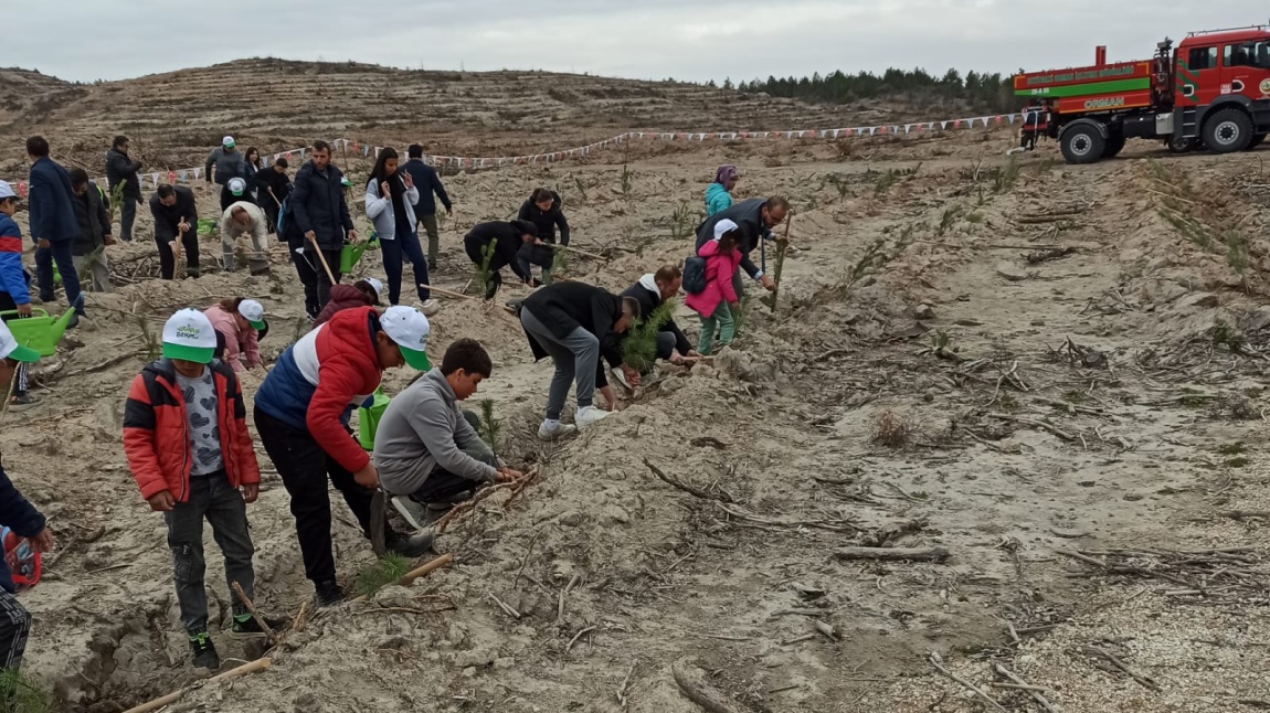 11 Kasım Milli Ağaçlandırma Günü Etkinliğimiz